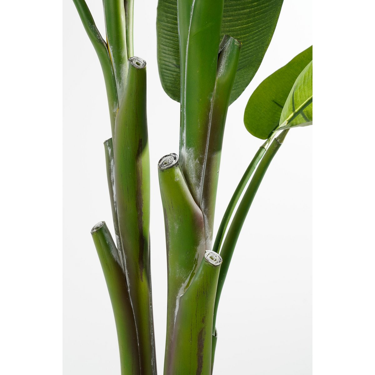 Artificial Heliconia Plant - H175 x Ø140 cm - Green