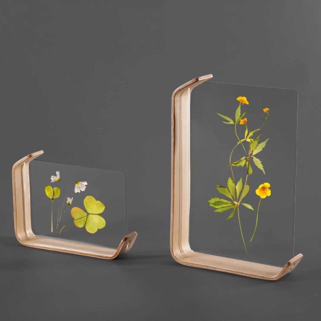 Acryl Houten Fotolijst - Herbarium Display Frame voor Foto's en DIY Creaties