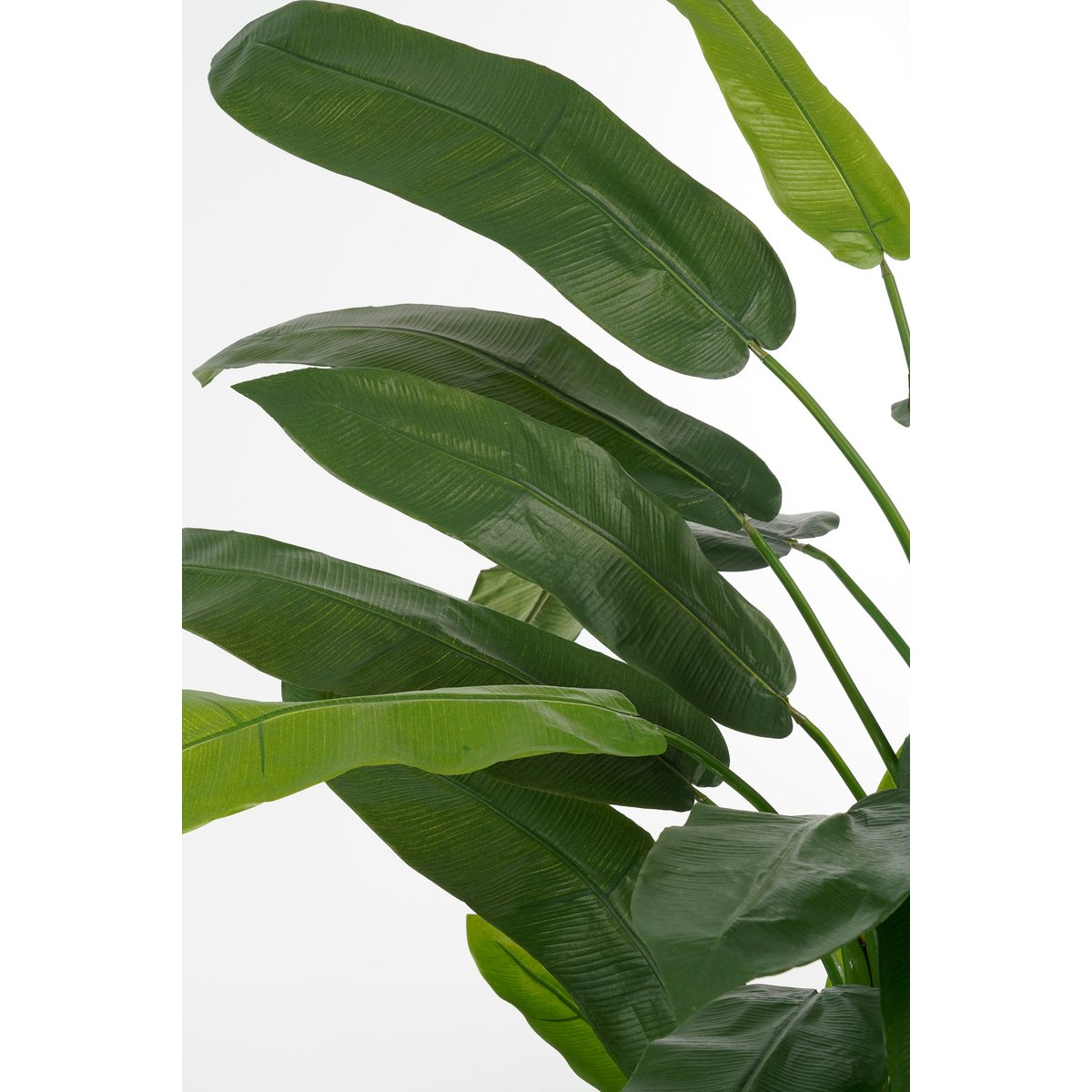 Artificial Heliconia Plant - H175 x Ø140 cm - Green