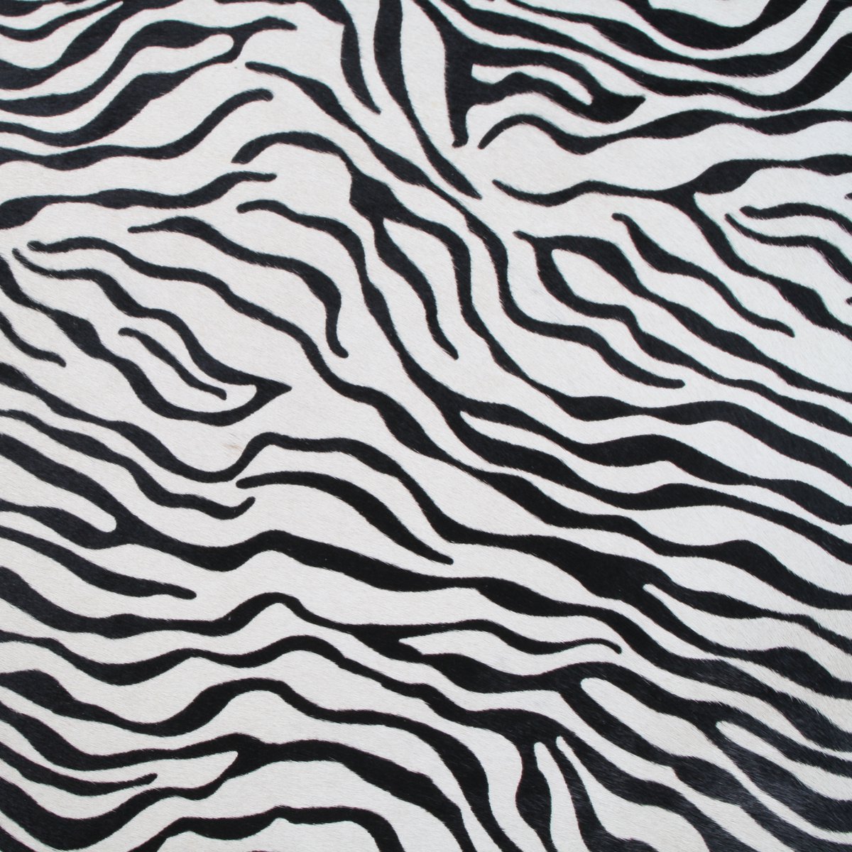 COWHIDE ZEBRA PRINT