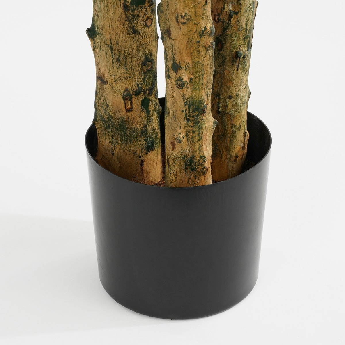 Pachira Artificial Plant - H175 x Ø85 cm - Green