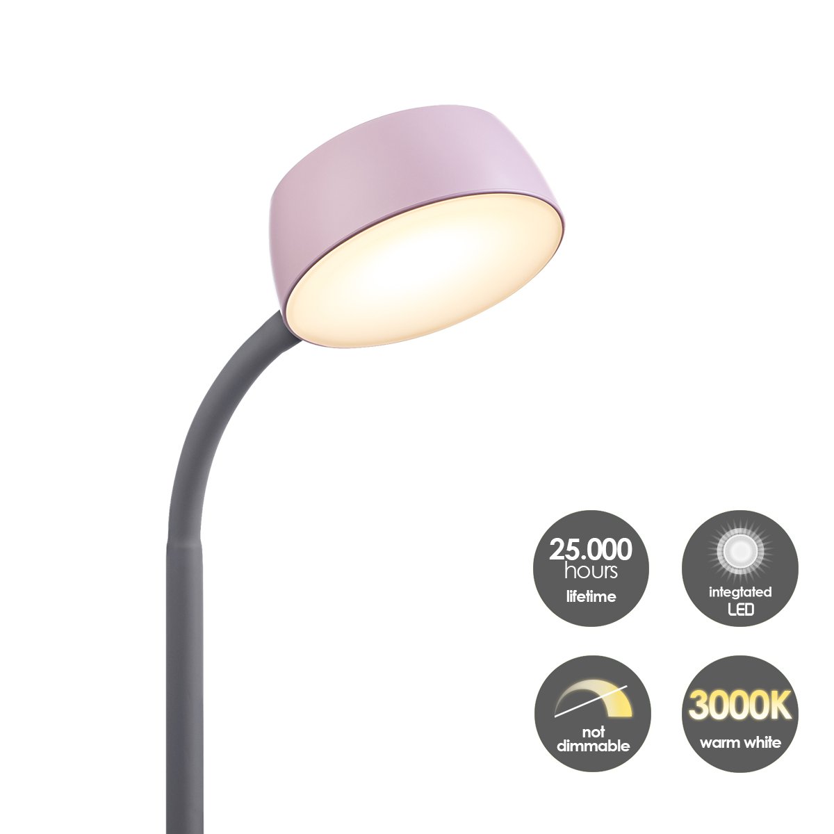 Home Sweet Home - College Led Bureaulamp 5W Roze - Verstelbare