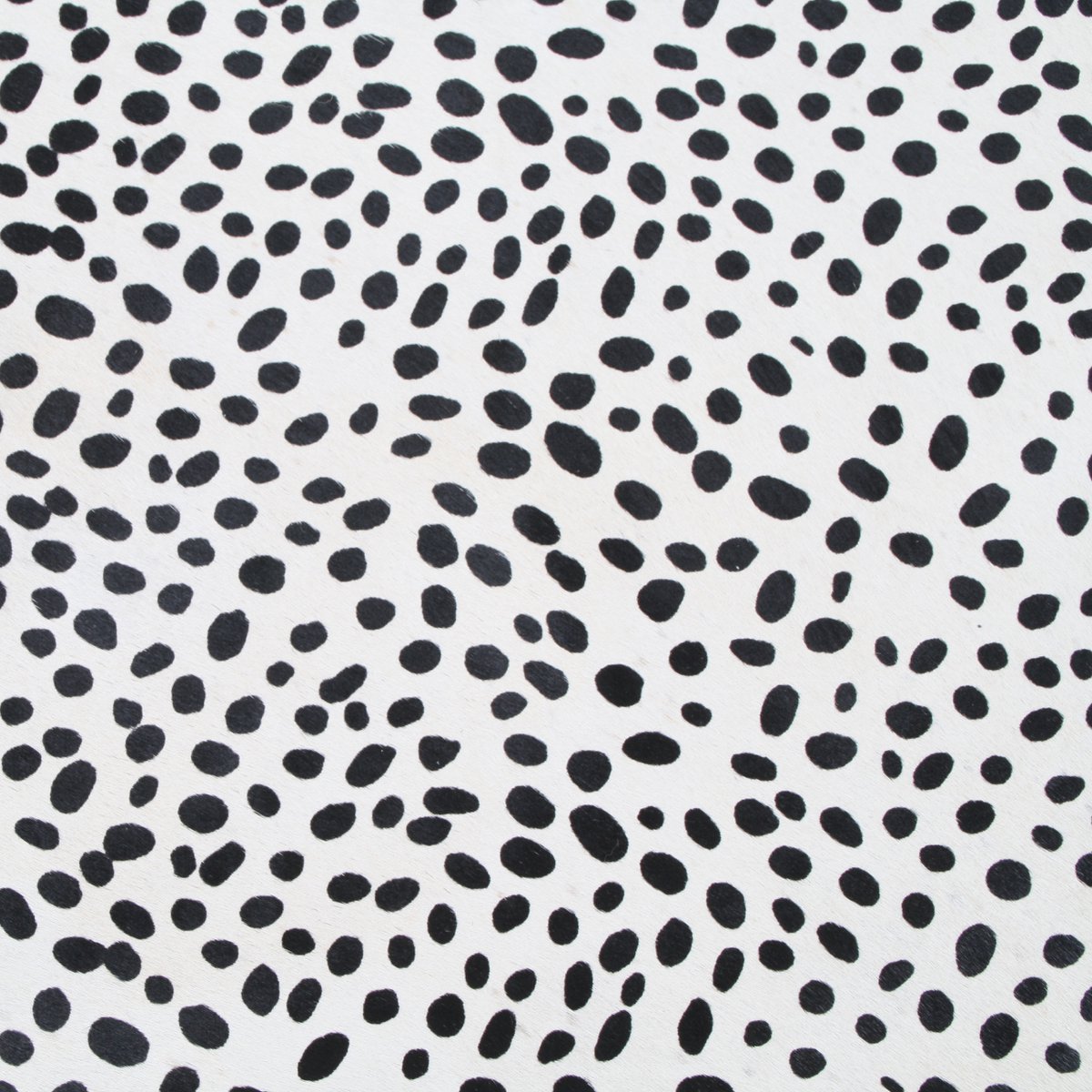 COWHIDE DALMATION PRINT